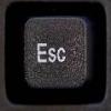 Esc's Photo
